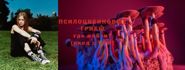 индика Каменск-Шахтинский