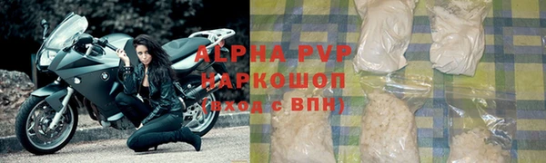 стафф Каменногорск