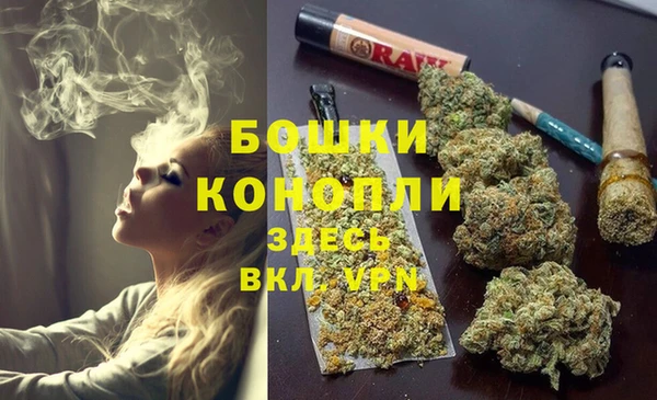 гидра Каменка