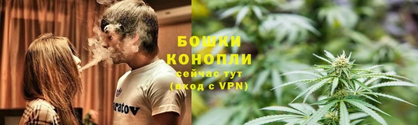 индика Каменск-Шахтинский