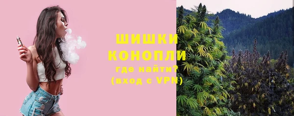 индика Каменск-Шахтинский
