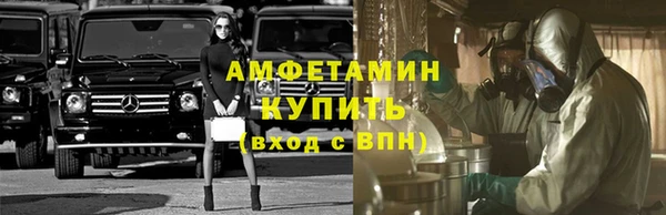 гидра Каменка