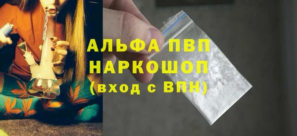 гидра Каменка