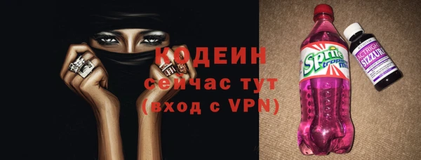 индика Каменск-Шахтинский