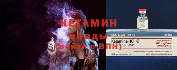 гидра Каменка
