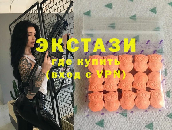 гидра Каменка