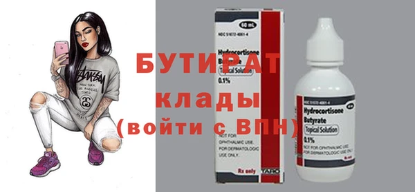гидра Каменка