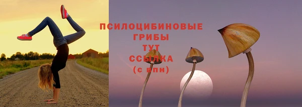 индика Каменск-Шахтинский