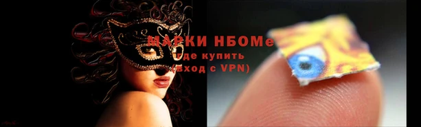 гидра Каменка