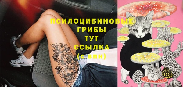 индика Каменск-Шахтинский