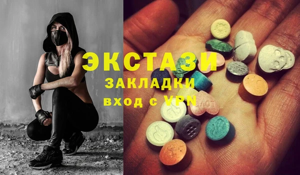 гидра Каменка