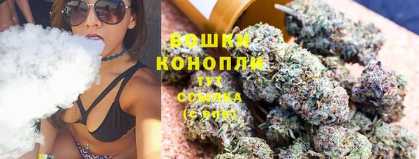 гидра Каменка