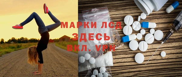 стафф Каменногорск
