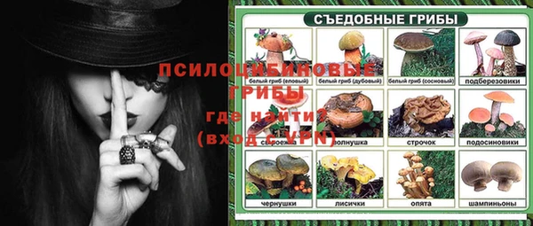 стафф Каменногорск