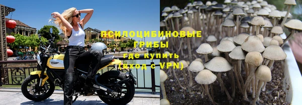 стафф Каменногорск