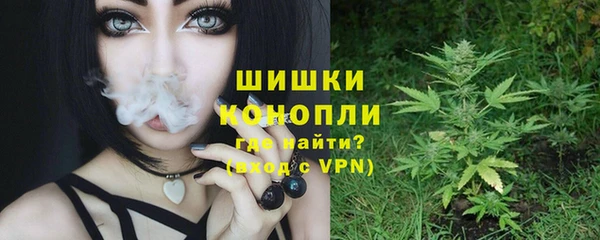 стафф Каменногорск