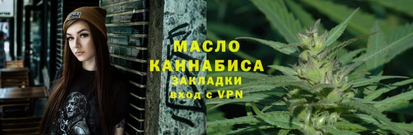 гидра Каменка