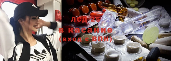 индика Каменск-Шахтинский