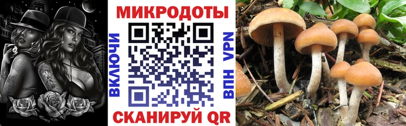 Псилоцибиновые грибы MAGIC MUSHROOMS  Карабулак 