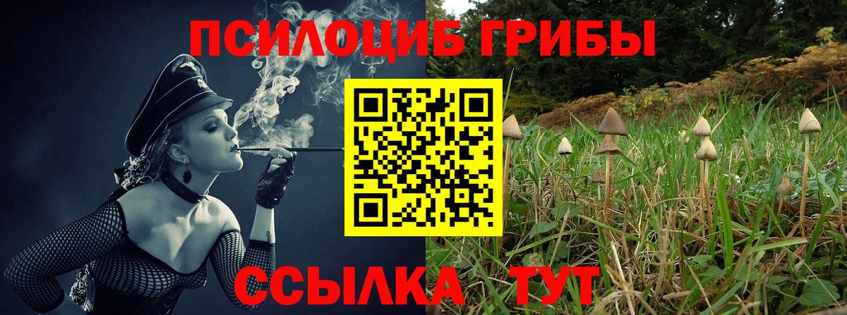 закладка  Галлюциногенные грибы Cubensis  Вход с VPN  Карабулак 
